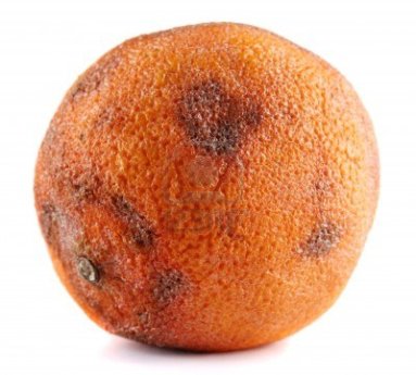 rotteange